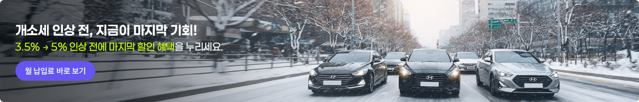 오토라이즈 단독